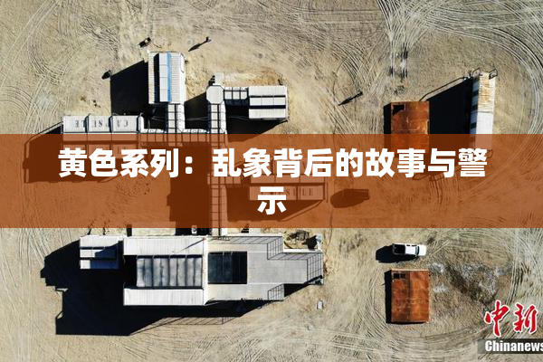 黄色系列：乱象背后的故事与警示