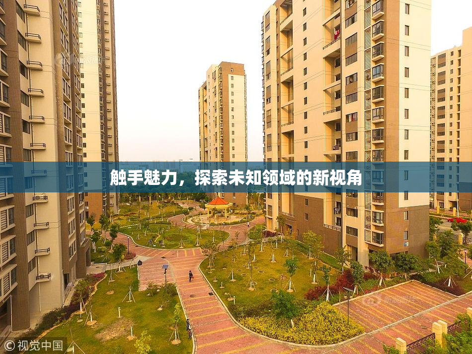 触手魅力，探索未知领域的新视角