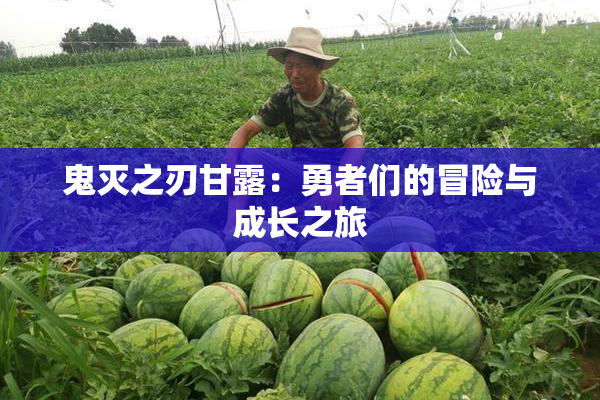 鬼灭之刃甘露：勇者们的冒险与成长之旅