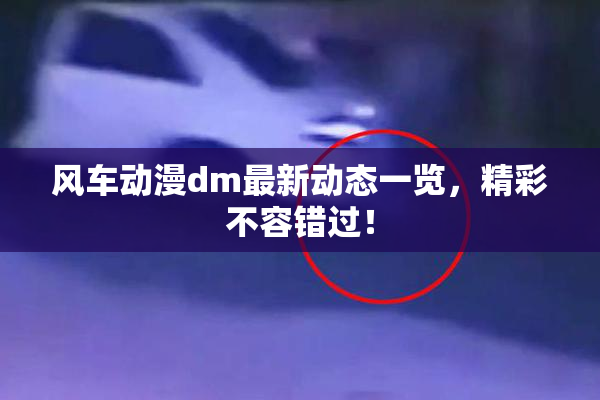 风车动漫dm最新动态一览，精彩不容错过！