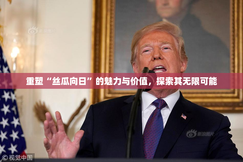重塑“丝瓜向日”的魅力与价值，探索其无限可能