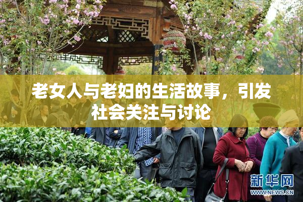 老女人与老妇的生活故事，引发社会关注与讨论