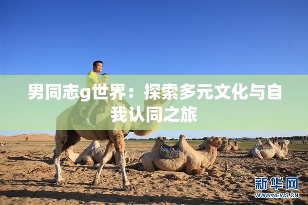 男同志g世界：探索多元文化与自我认同之旅