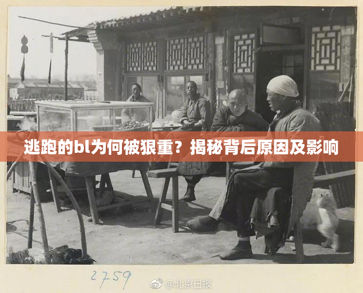 逃跑的bl为何被狠重？揭秘背后原因及影响