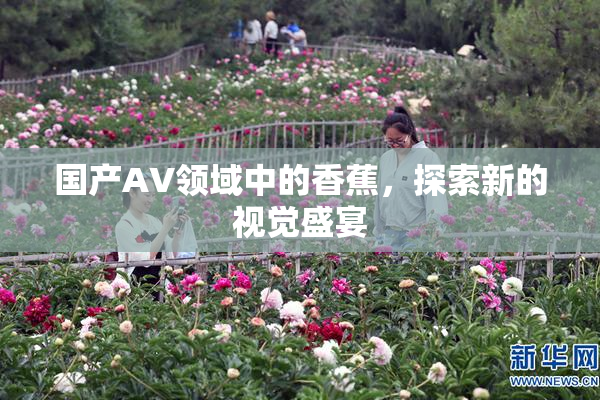 国产AV领域中的香蕉，探索新的视觉盛宴