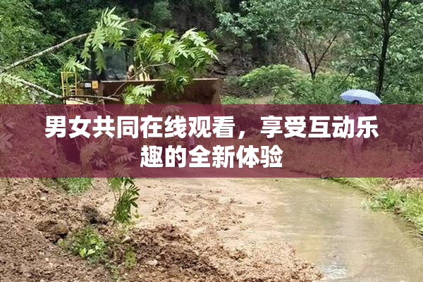 男女共同在线观看，享受互动乐趣的全新体验