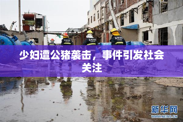 少妇遭公猪袭击，事件引发社会关注
