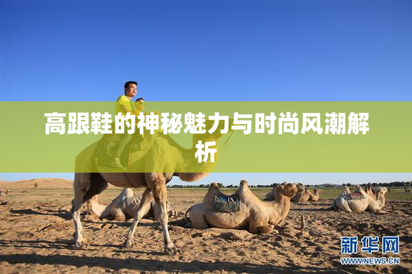 高跟鞋的神秘魅力与时尚风潮解析