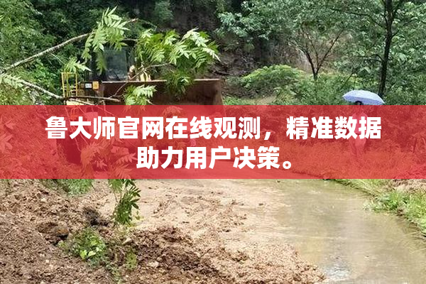 鲁大师官网在线观测，精准数据助力用户决策。