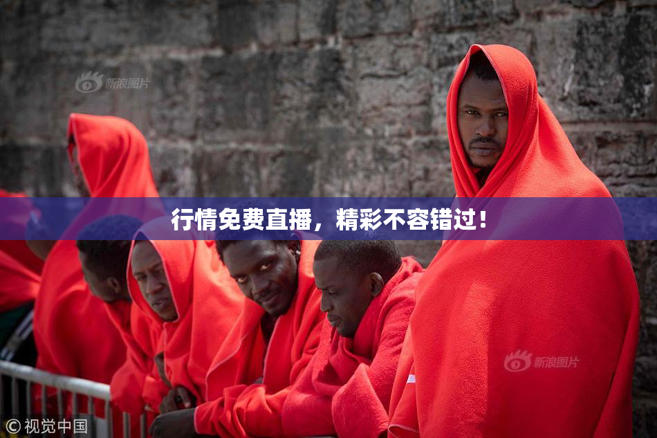 行情免费直播，精彩不容错过！