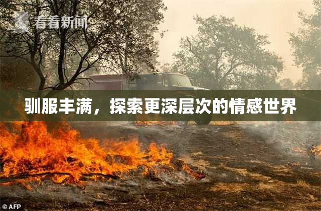 驯服丰满，探索更深层次的情感世界