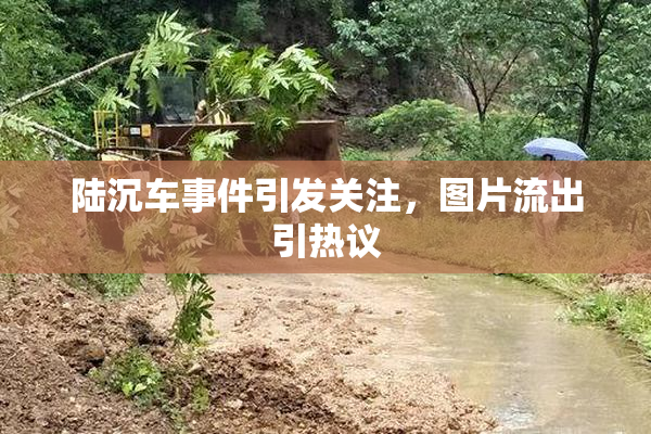 陆沉车事件引发关注，图片流出引热议