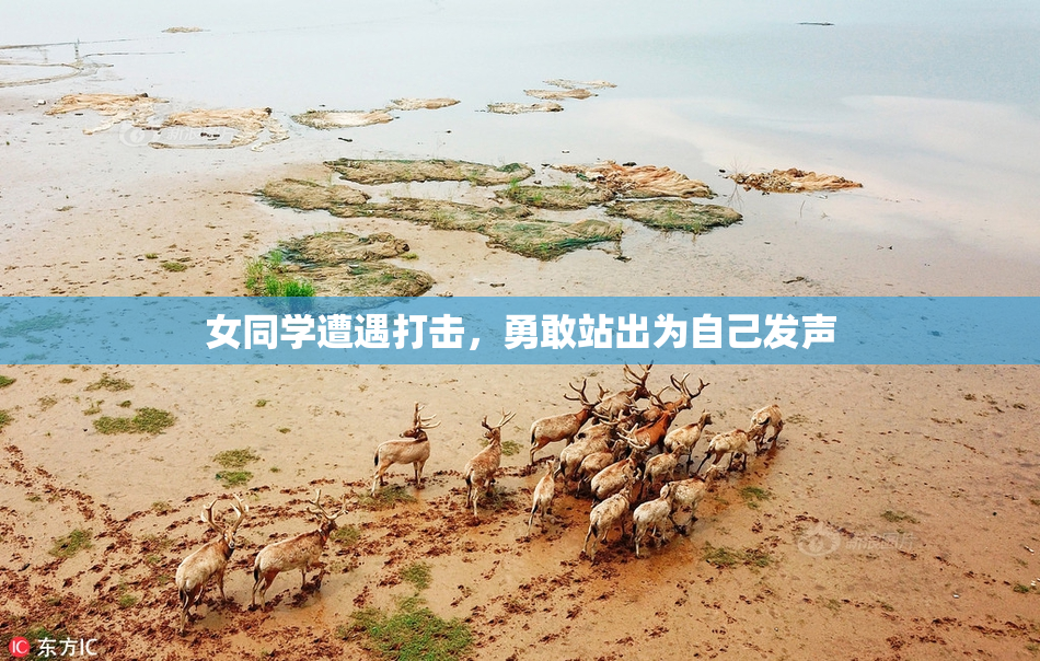 女同学遭遇打击，勇敢站出为自己发声