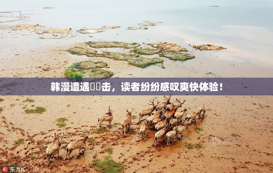 韩漫遭遇❌‌击，读者纷纷感叹爽快体验！