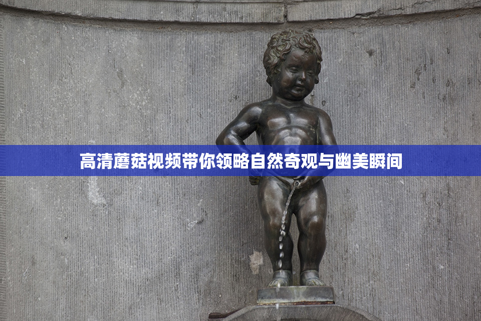 高清蘑菇视频带你领略自然奇观与幽美瞬间