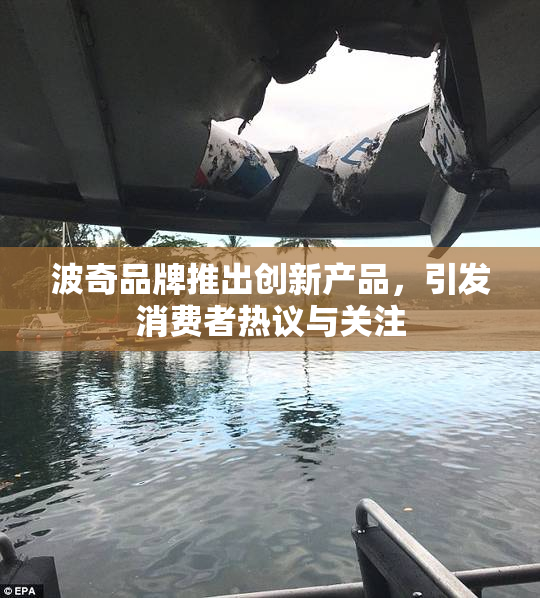 波奇品牌推出创新产品，引发消费者热议与关注