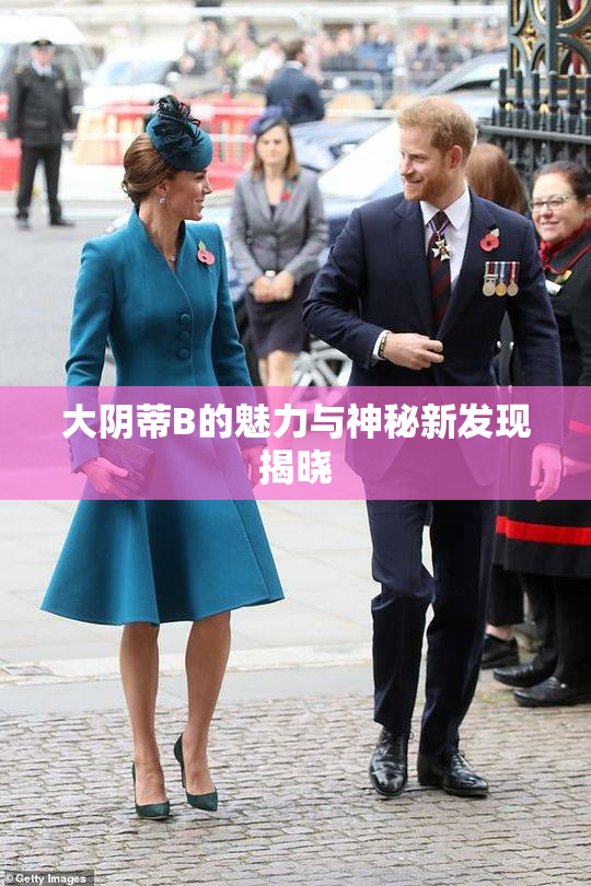 大阴蒂B的魅力与神秘新发现揭晓
