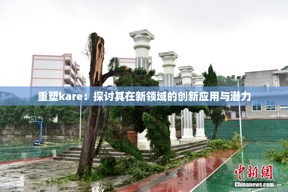 重塑kare：探讨其在新领域的创新应用与潜力