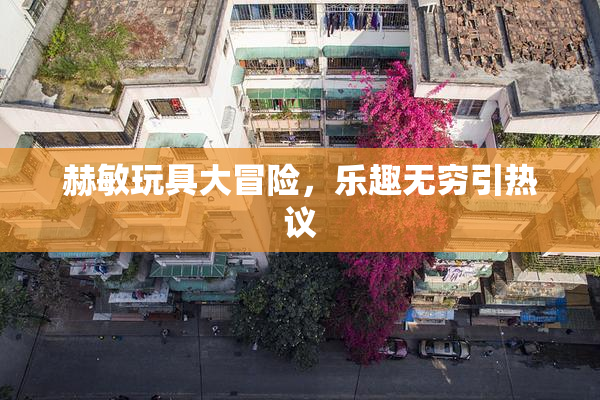 赫敏玩具大冒险，乐趣无穷引热议