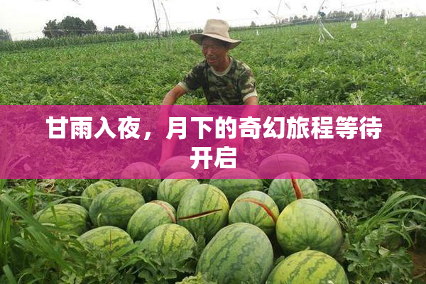 甘雨入夜，月下的奇幻旅程等待开启
