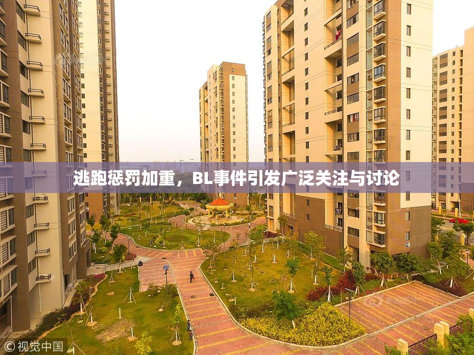 逃跑惩罚加重，BL事件引发广泛关注与讨论