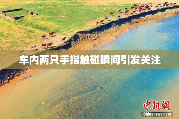 车内两只手指触碰瞬间引发关注