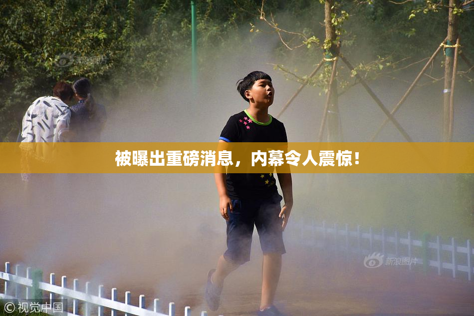 被曝出重磅消息，内幕令人震惊！
