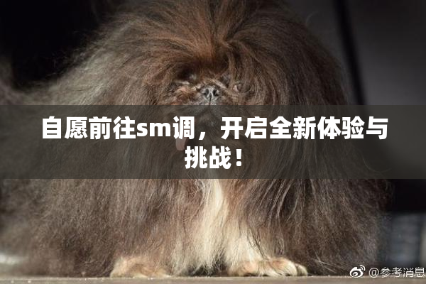 自愿前往sm调，开启全新体验与挑战！