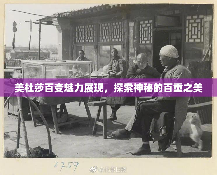 美杜莎百变魅力展现，探索神秘的百重之美