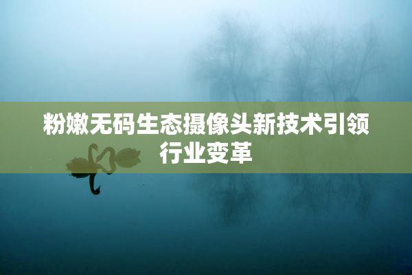 粉嫩无码生态摄像头新技术引领行业变革