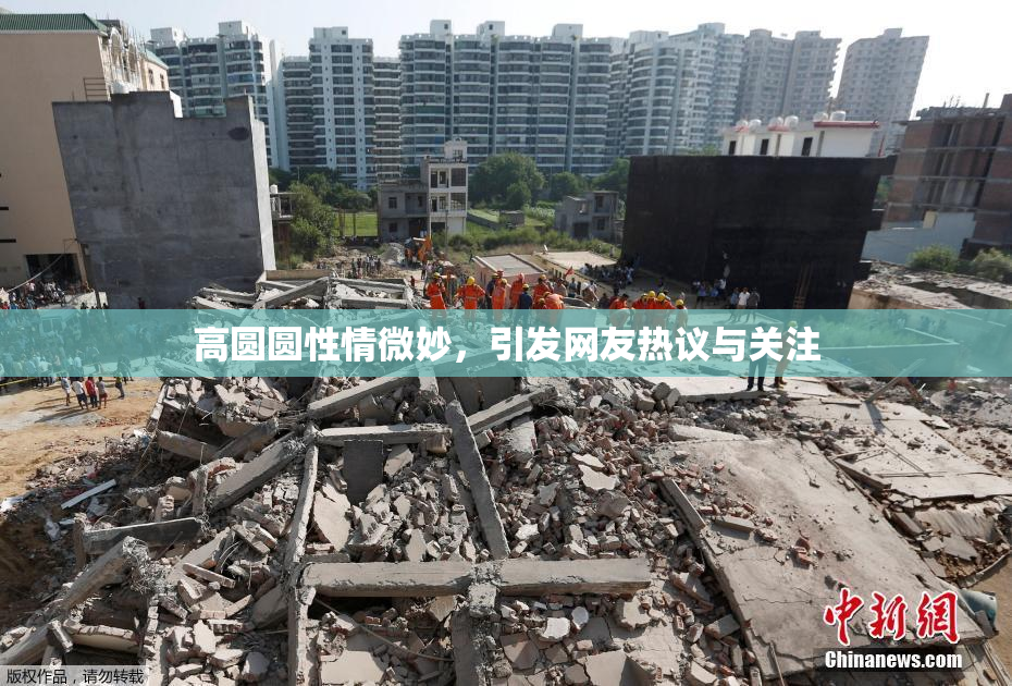 高圆圆性情微妙，引发网友热议与关注