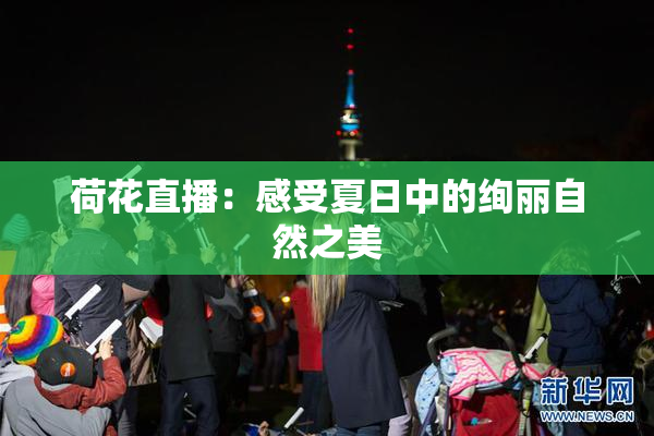 荷花直播：感受夏日中的绚丽自然之美