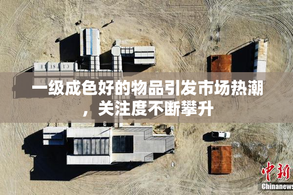 一级成色好的物品引发市场热潮，关注度不断攀升