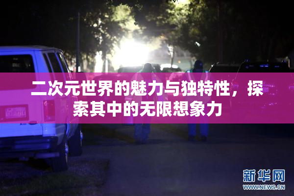 二次元世界的魅力与独特性，探索其中的无限想象力
