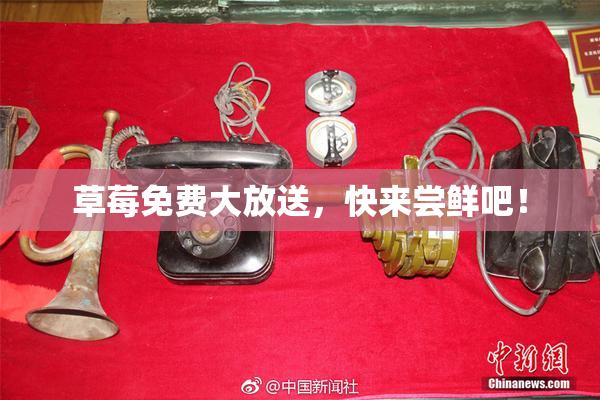 草莓免费大放送，快来尝鲜吧！