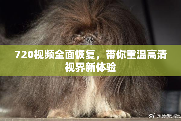 720视频全面恢复，带你重温高清视界新体验