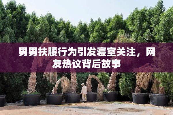 男男扶腰行为引发寝室关注，网友热议背后故事