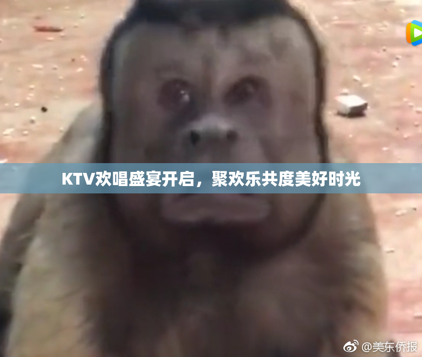 KTV欢唱盛宴开启，聚欢乐共度美好时光