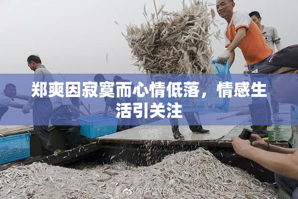 郑爽因寂寞而心情低落，情感生活引关注