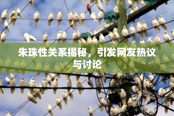 朱珠性关系揭秘，引发网友热议与讨论