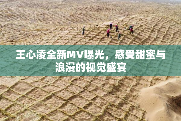 王心凌全新MV曝光，感受甜蜜与浪漫的视觉盛宴