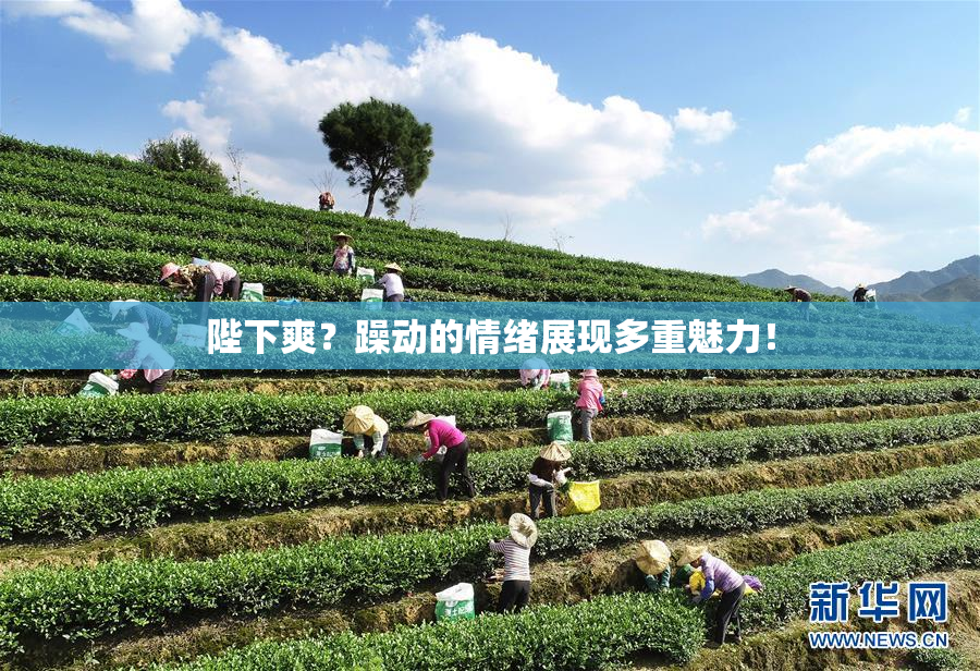 陛下爽？躁动的情绪展现多重魅力！