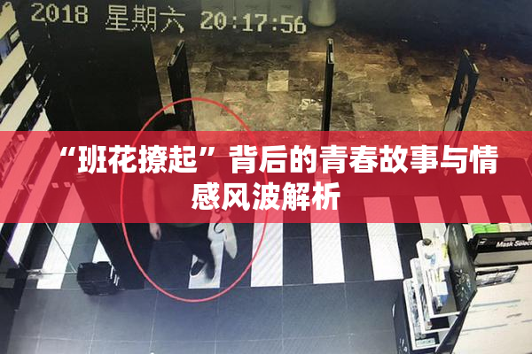 “班花撩起”背后的青春故事与情感风波解析
