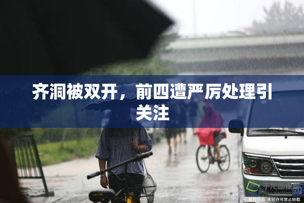 齐洞被双开，前四遭严厉处理引关注