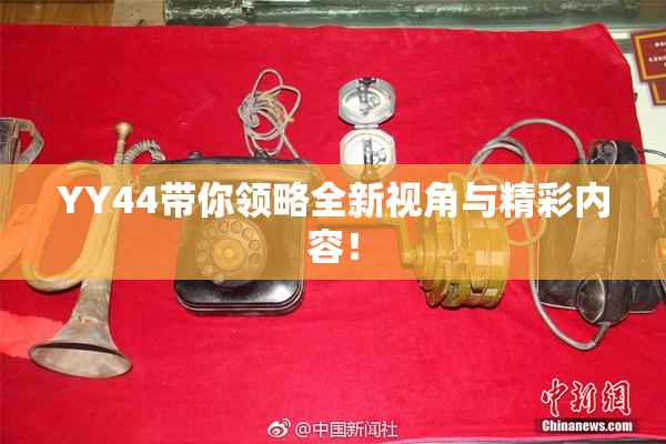 YY44带你领略全新视角与精彩内容！