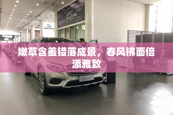 嫩草含羞错落成景，春风拂面倍添雅致