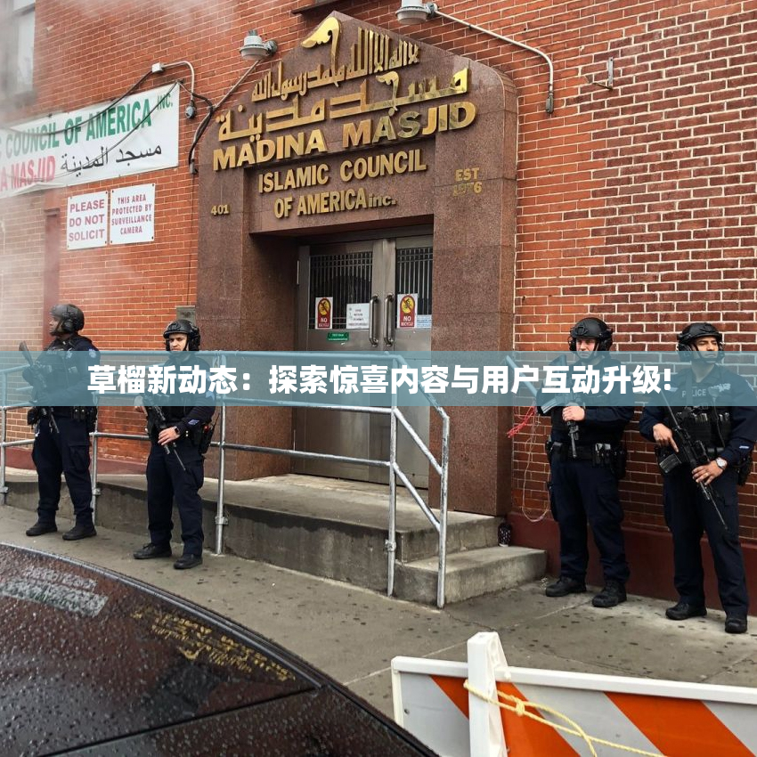 草榴新动态：探索惊喜内容与用户互动升级!