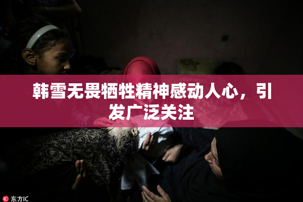 韩雪无畏牺牲精神感动人心，引发广泛关注