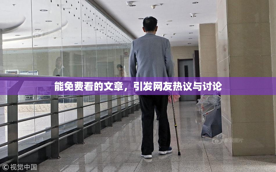 能免费看的文章，引发网友热议与讨论