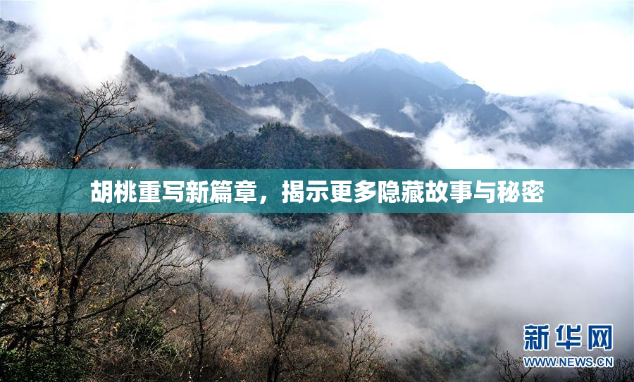 胡桃重写新篇章，揭示更多隐藏故事与秘密